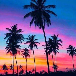 Meet your Posher, Anndraia